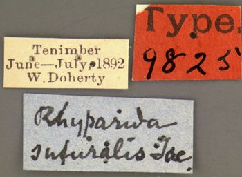 Media type: image;   Entomology 9825 Aspect: labels